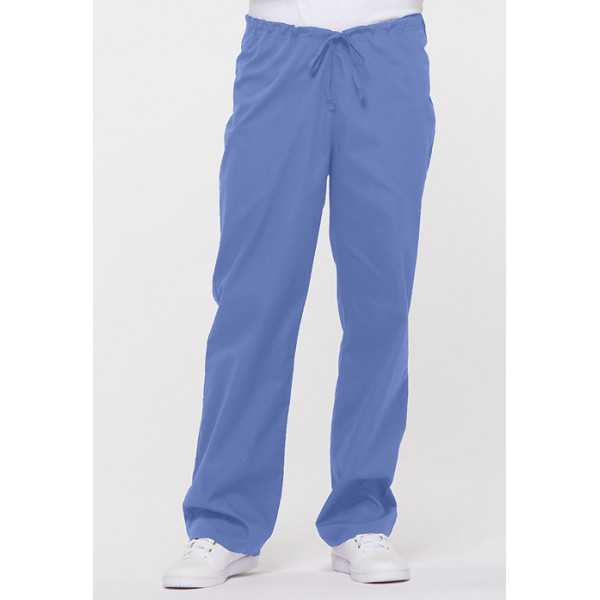 Pantalon médical Unisexe Cordon, Dickies, Collection "EDS signature" (83006) bleu ciel vue face