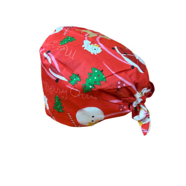 Gorra médica "Osos y pingüinos" (209-12006)