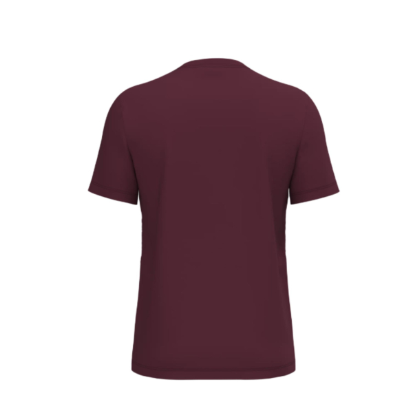 Camiseta con tratamiento antibacteriano (WK306)